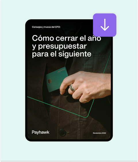 ebook para cfos